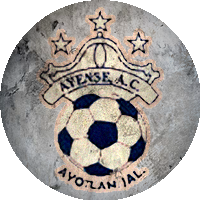 Logo Club Deportivo Ayense AC